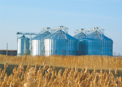 The Krasnodar Region, Grain Storage with the capacity of 25000 m3